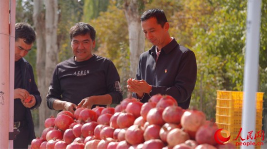 村民正在沿街售卖新鲜采摘的石榴。人民网 李欣洋摄 村民正在沿街售卖新鲜采摘的石榴。人民网 李欣洋摄