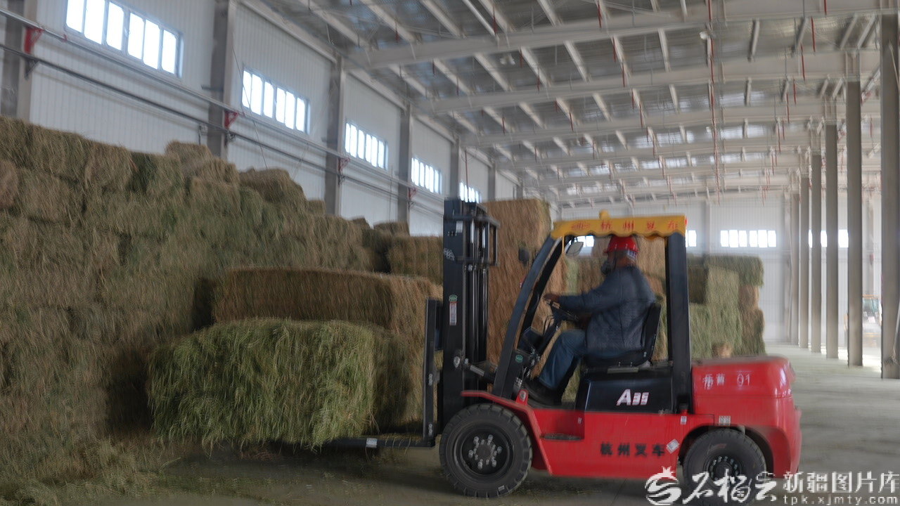 mmexport1766073054898