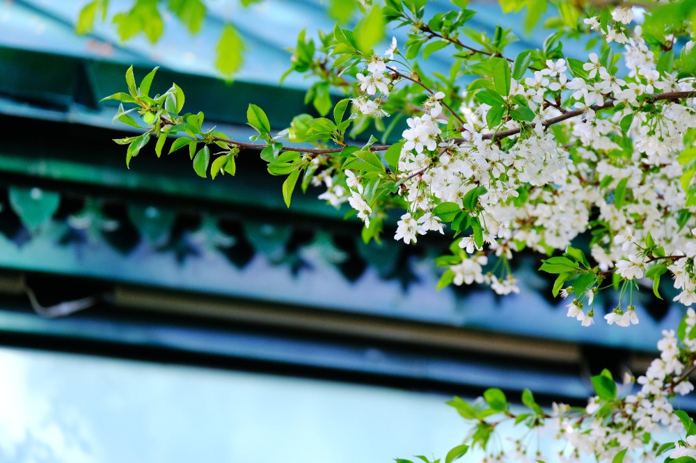 mmexport1776572677185