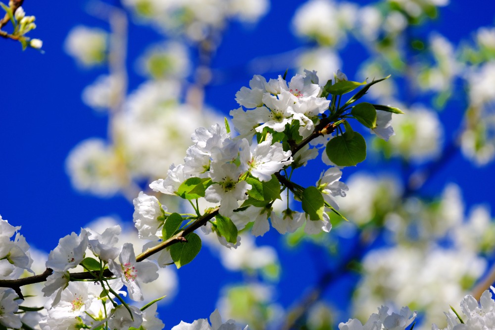 mmexport1776572730785