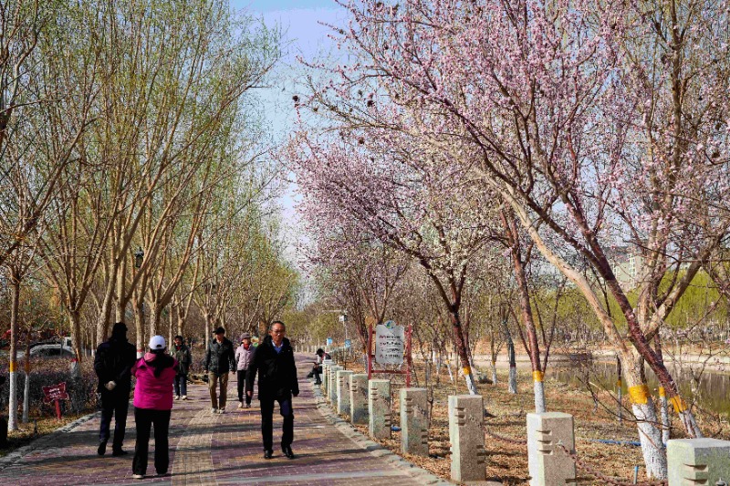 DSC07906_看图王_副本