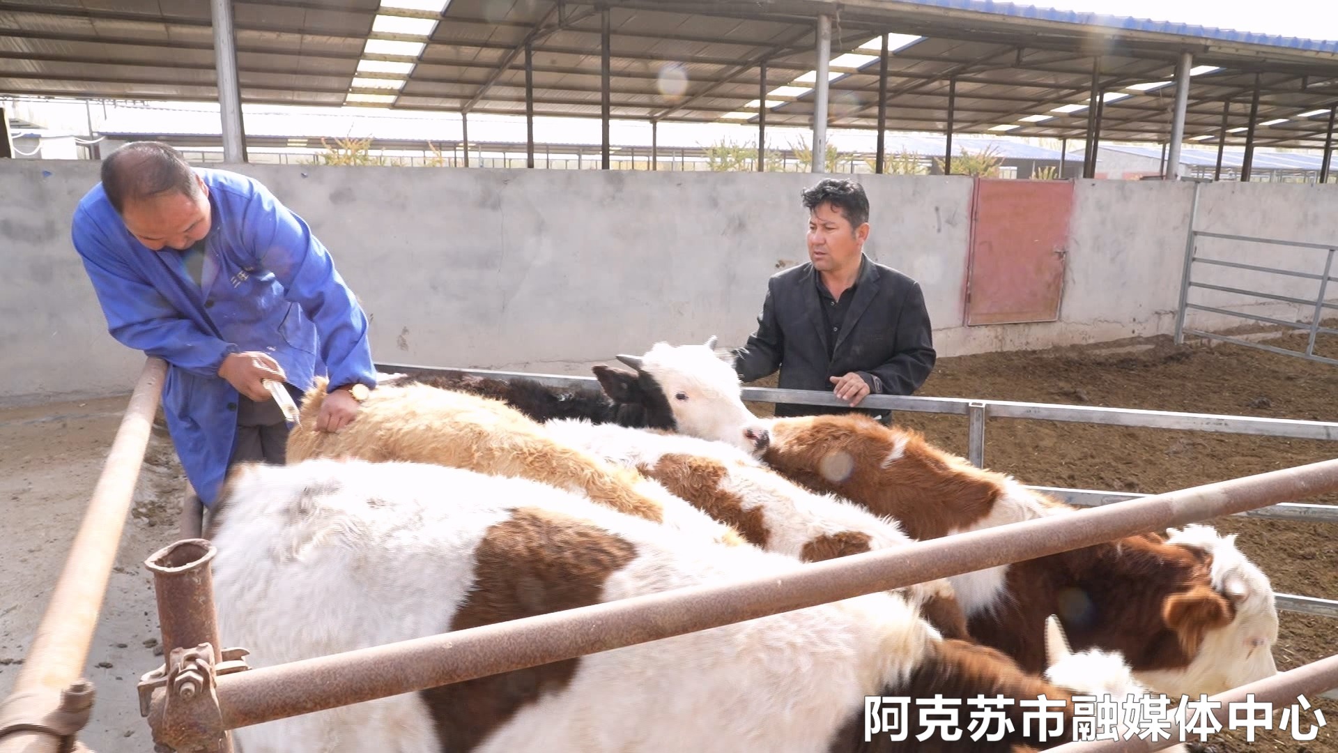 养殖场规划设计：构建生态农业新蓝图