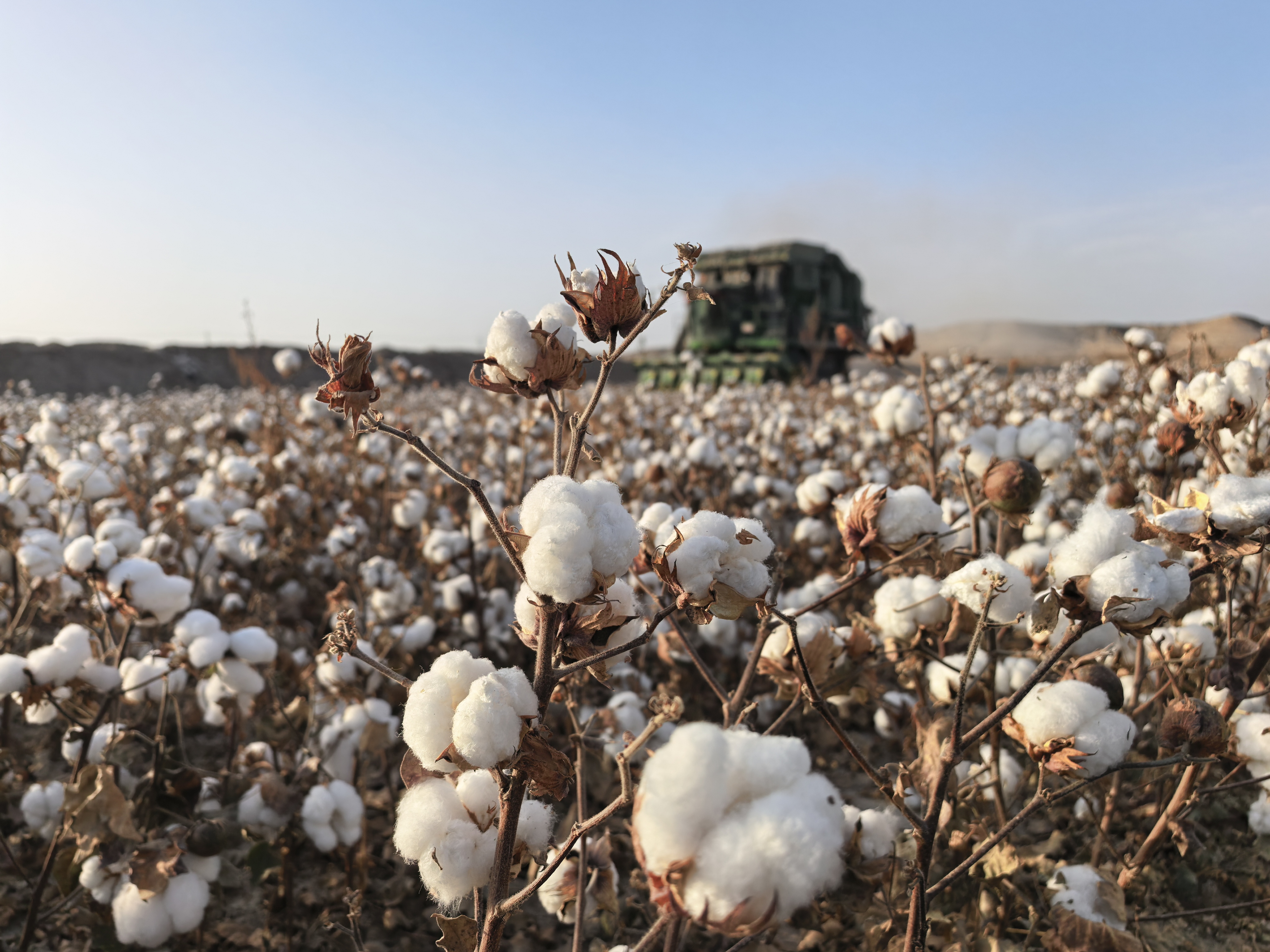 IMG_20251030_180226.jpg IMG_20251030_180226.jpg