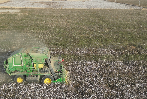 微信图片_20251031162943_124_3.png 微信图片_20251031162943_124_3.png