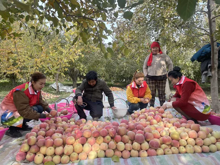 图片1.png 图片1.png