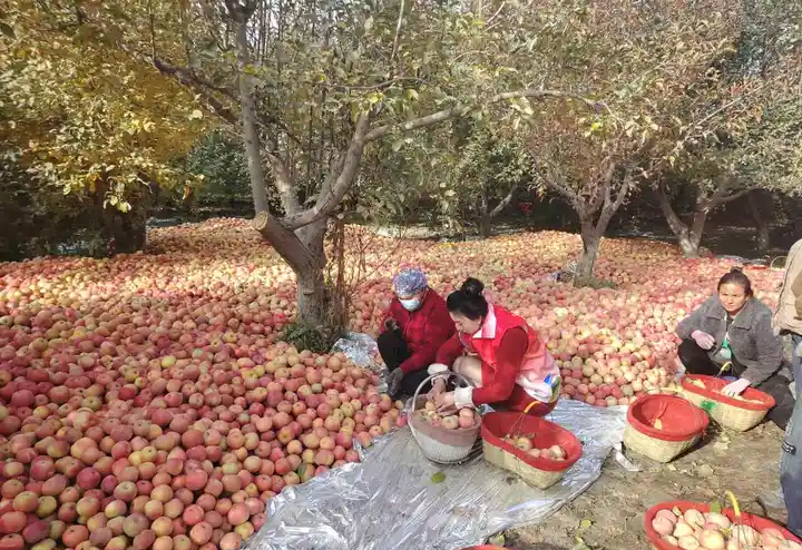 图片2.png 图片2.png