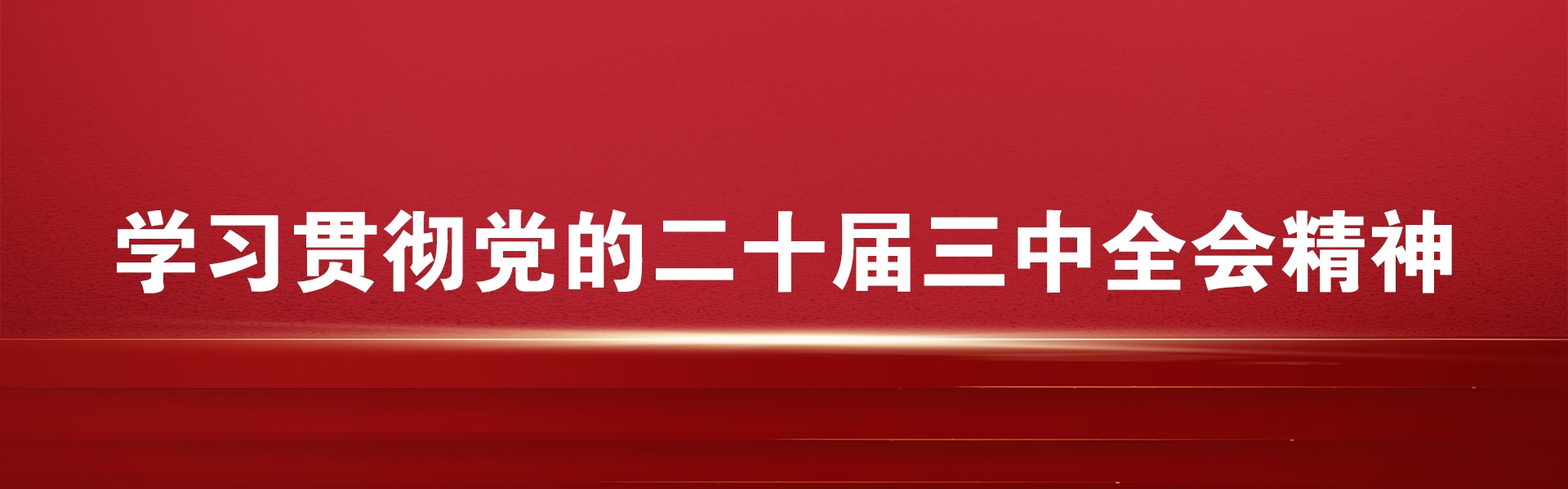  学习贯彻党的二十届三中全会精神