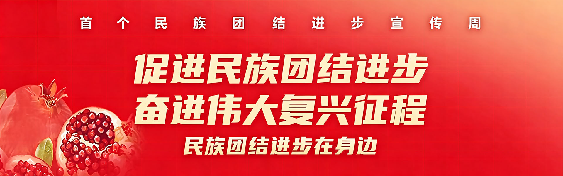  民族团结进步宣传周