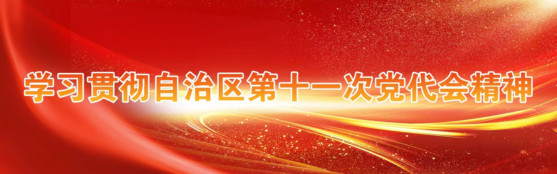 学习贯彻自治区第十一次党代会精神